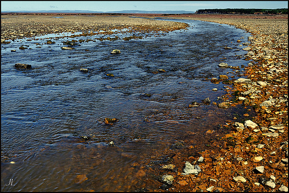 Minas Basin Low Tide w sig DSC_1977