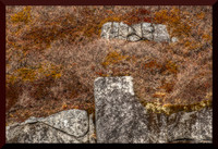 Granite Coast for web DSC_9733