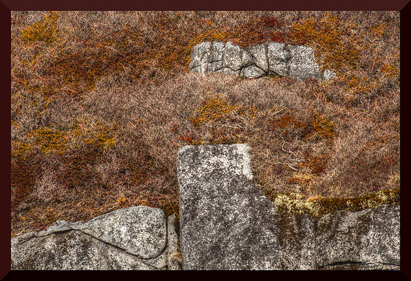 Granite Coast for web DSC_9733