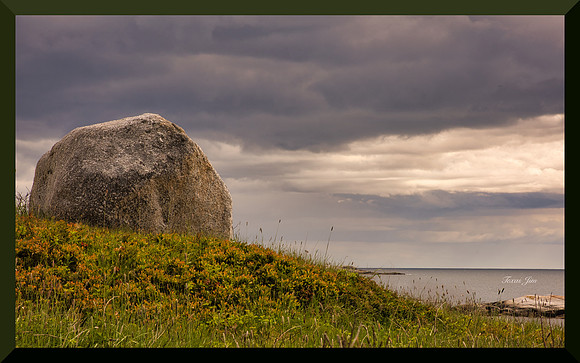 Sentinel DSC_8910