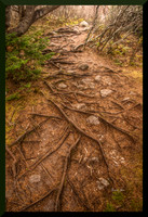 Genuine Path for web DSC_9183