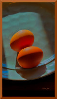 Eggs in morning light