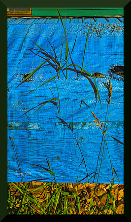Blue tarp_upscale