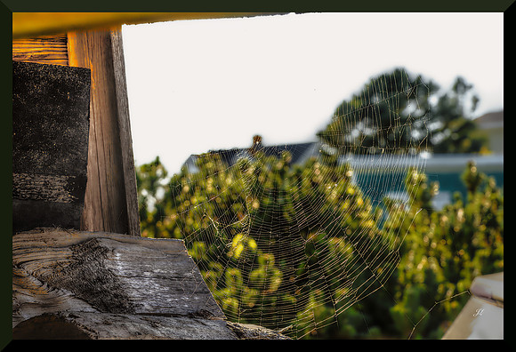 web in crib for web DSC_0237_014