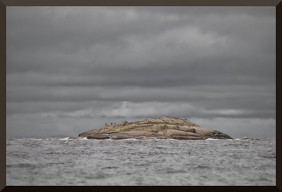 Bald Rock with Birds DSC_0295