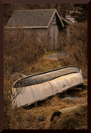 Boats Like the Velveteen Rabbit 1 for web DSC_9416