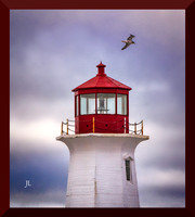 Lighthouse and Gull DSC_0507