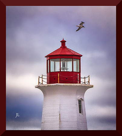 Lighthouse and Gull DSC_0507