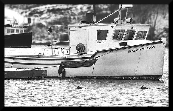 Bampy's Boy DSC_0532