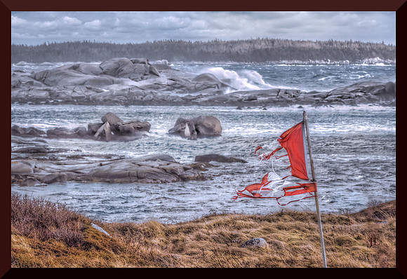 Ragged Flag for web DSC_0792_019