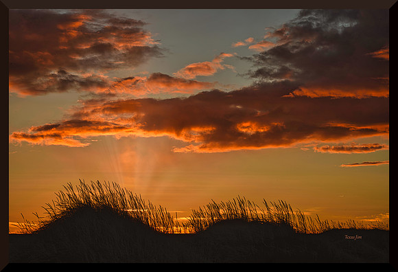 Sunset Behind the Dunes DSC_6172