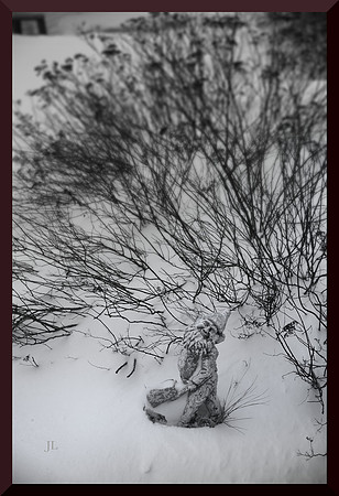 Dwarf in the Snow DSC_0826