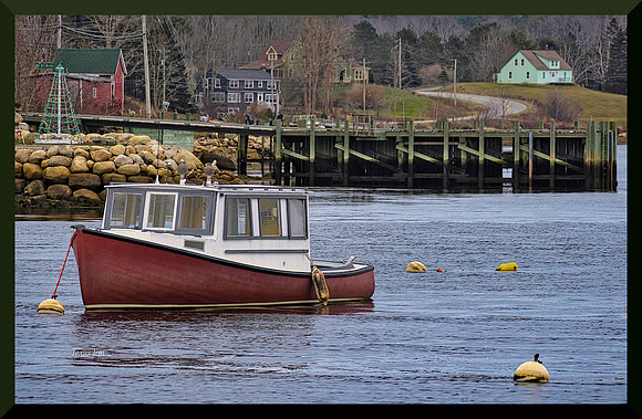 Christmas in the Harbour DSC_6853