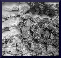 Firewood DSC_0821