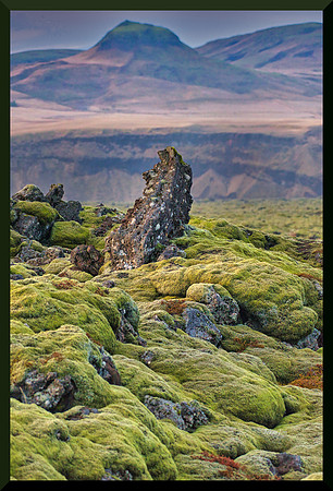 Otherworldly w sig-bord for web DSC_6632