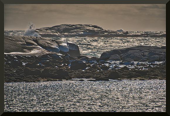 Wintry DSC_0983