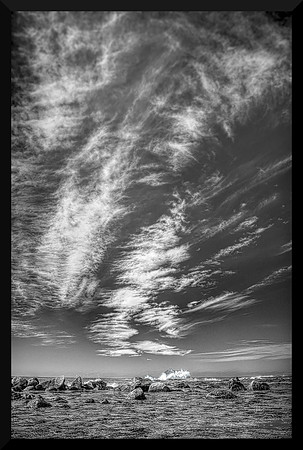 While Rowing DSC_0987