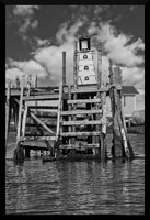 Little Light DSC_0917