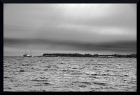 Checking Traps Before the Storm DSC_1129