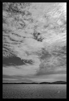 Celestial Elegance DSC_1097