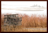 Traps DSC_1217