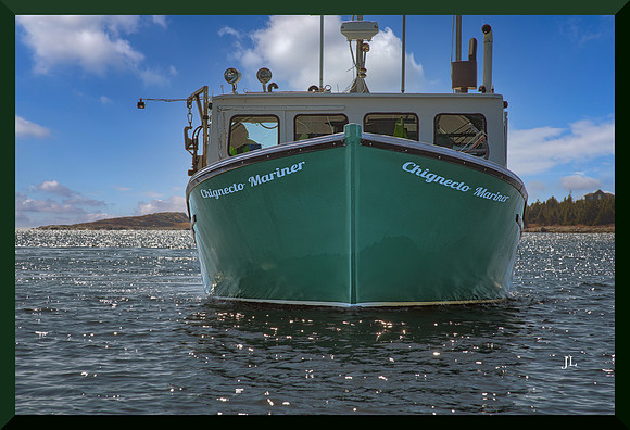 Chignecto Mariner Bow On DSC_1187