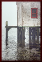 Foggy Harbour for web DSC_1519