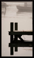Foggy Harbour DSC_1692