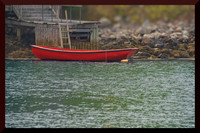 Red Boat DSC_1657