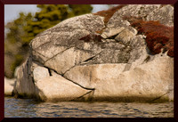 Stone Ram for web DSC_1052