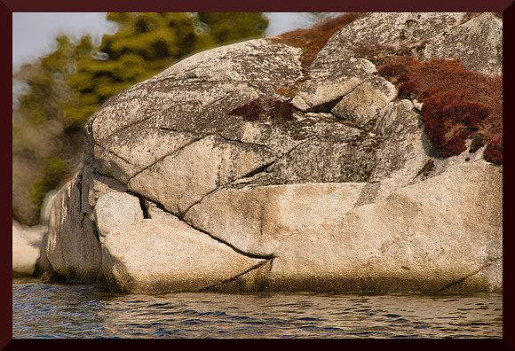 Stone Ram for web DSC_1052