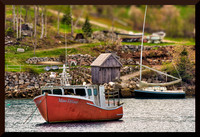 Many Boats for web DSC_1674