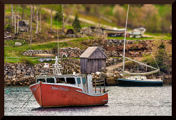Many Boats for web DSC_1674