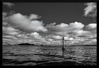 Harbour Buoy DSC_0341