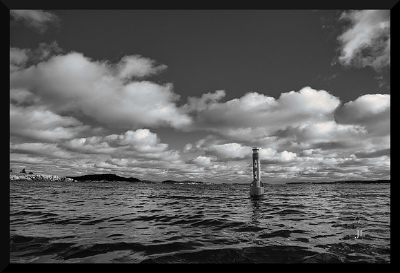Harbour Buoy DSC_0341