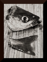 Fish Head