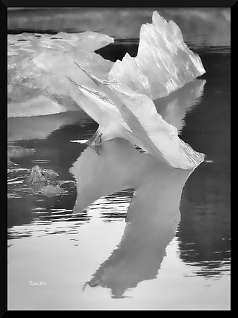 Elegance DSC_6087