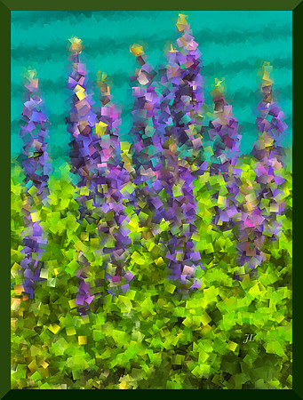 Lupine DSC_1776