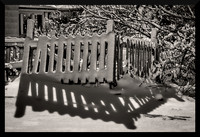 Fence Shadow on Snow for web DSC_9384