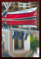 Neighbour's Boat DSC_1818