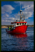 Nova Scotia Bold