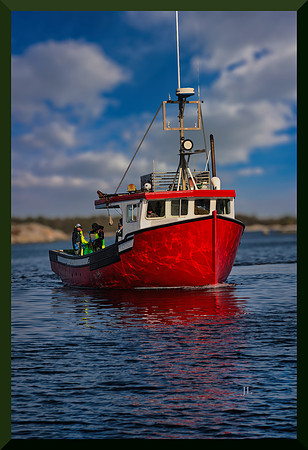 Nova Scotia Bold