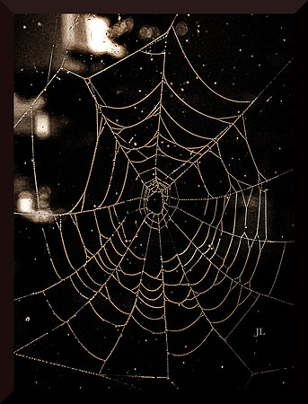 Web DSC_1820