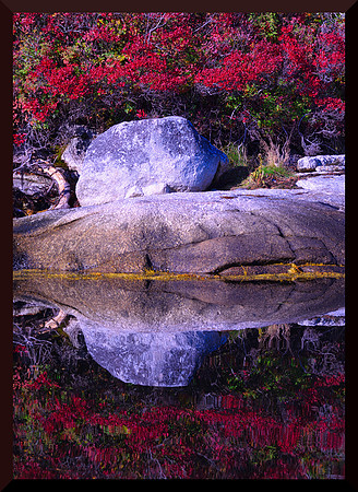 Rock Reflection DSC_2078