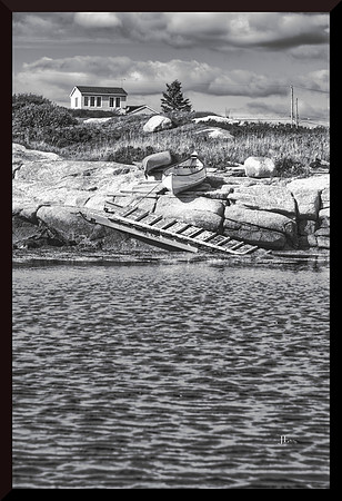 Down by the Water DSC_1857