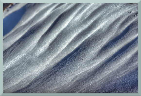 Frozen Snow for web DSC_4353