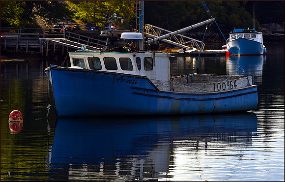 Blue Struggle - Southwest Shore w sig DSC_1773
