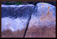 Tri-coloured Rock DSC_1936