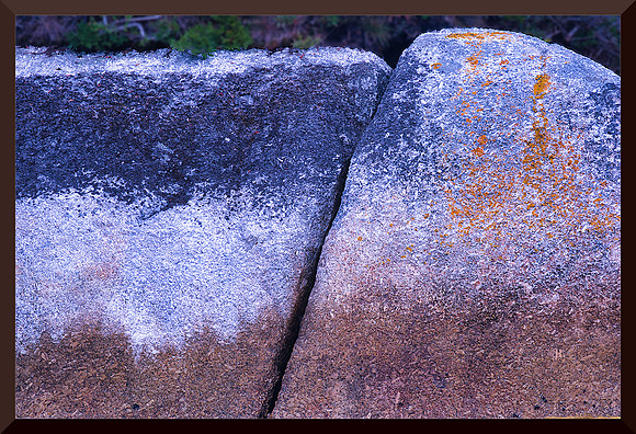 Tri-coloured Rock DSC_1936
