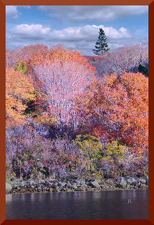 Rogues Roost Fall 1 for web DSC_2086